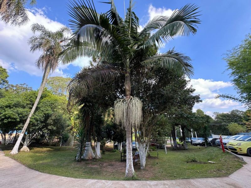 Foto 7 da clínica CLINICA DE RECUPERAÇÃO EM VARGEM GRANDE PAULISTA